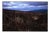 Paul Cooklin, Heathland, Exmoor, 2011, Edition of 50 For Sale