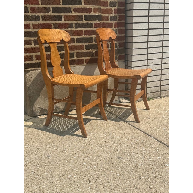 Pair of New York Curly Maple Klismos Chairs, Circa 1860. For Sale - Image 14 of 14