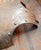 Brown 19th or 20th Century Decorative Renaissance Revival Breastplate Cuirass Armor For Sale - Image 8 of 16