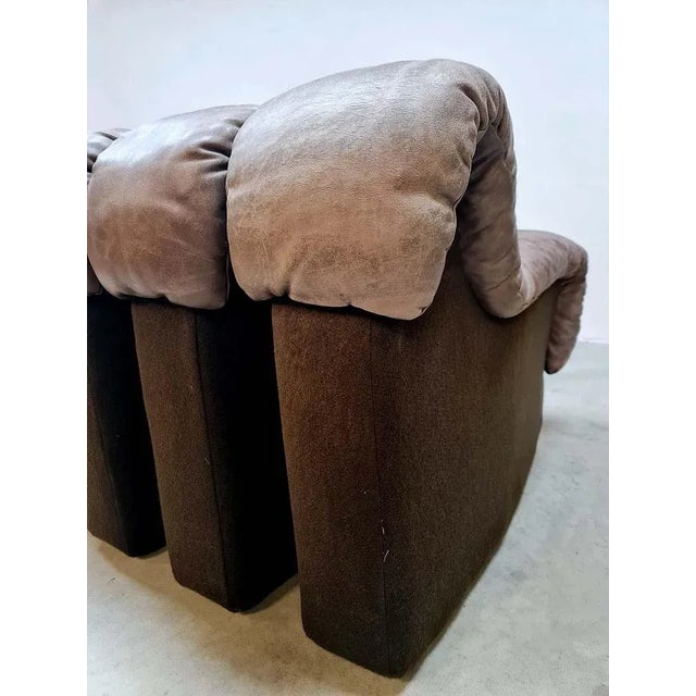 Vintage Modular Leather Snake Sofa Ds 600 by Elenora Peduzzi for de Sede, 1970s For Sale - Image 6 of 8