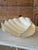 Bring a touch of Old Florida coastal charm to any space with this authentic natural clam shell. Each shell is beautifully...