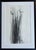 Early 21st Century Jake Wood-Evans, Butterfly Drawing, 2010, Pencil on Paper For Sale - Image 5 of 5