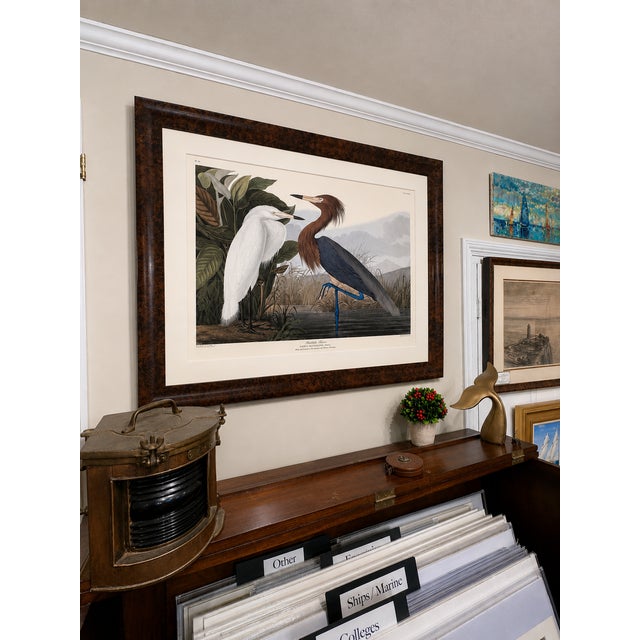John James Audubon Purple Heron Adult & Young – Princeton Audubon Limited Edition – Framed 37 X 47" – After John James Audubon For Sale - Image 4 of 5