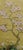 Yellow 36" * H96"/Panel * 4ps,Brown-Yellow Magnolia Wallpaper, Magnolia‌ Wallpaper Mural, 4 Panels For Sale - Image 8 of 8