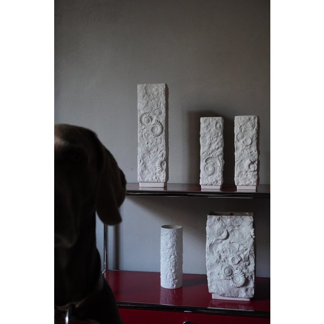 Vintage German Vases with Fossil Design in Biscuit Porcelain from AK Kaiser, 1960s, Set of 5 For Sale - Image 3 of 18