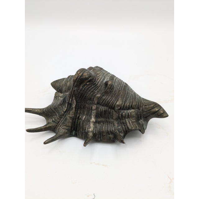 Mid 20th Century Oversized Silver Tone With Patina Conch Shell For Sale In Atlanta - Image 6 of 7