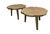 Elevate your living space with this striking pair of vintage mid-century modern side tables, beautifully capturing the raw...