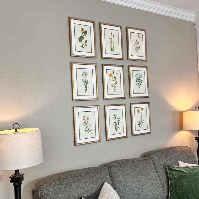 Vintage Botanical Set of 9 Framed - Authentic 1975 Wild Flower Prints For Sale - Image 4 of 6