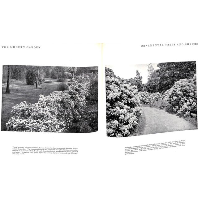 "The Modern Garden" 1949 Taylor, g.c. For Sale - Image 4 of 10