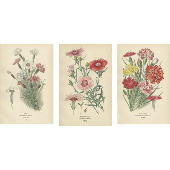 Edward Step, Triptych of Garden Elegance, 1896, Paper, Set of 3 For Sale