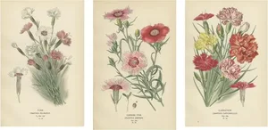 Edward Step, Triptych of Garden Elegance, 1896, Paper, Set of 3