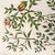 Weinmann c.1730 Hand-Colored Botanical Mezzotints Pair — Indigo & Water Speedwell by Johann Wilhelm Weinmann For Sale - Image 4 of 9