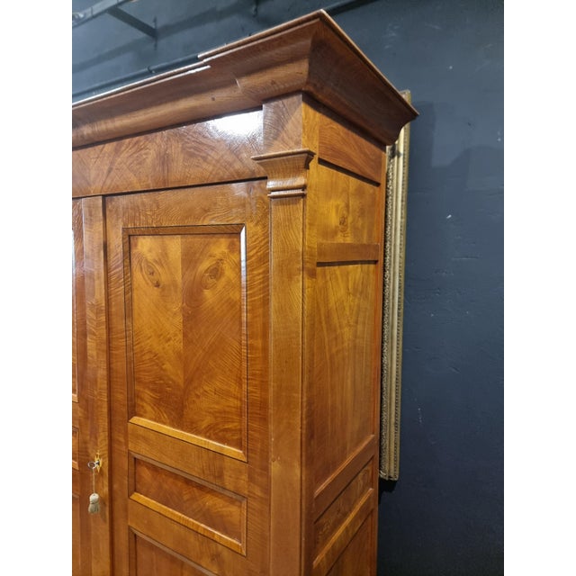 Early 19th Century Biedermeier Ash Burl Wardrobe, 1820 For Sale - Image 5 of 14