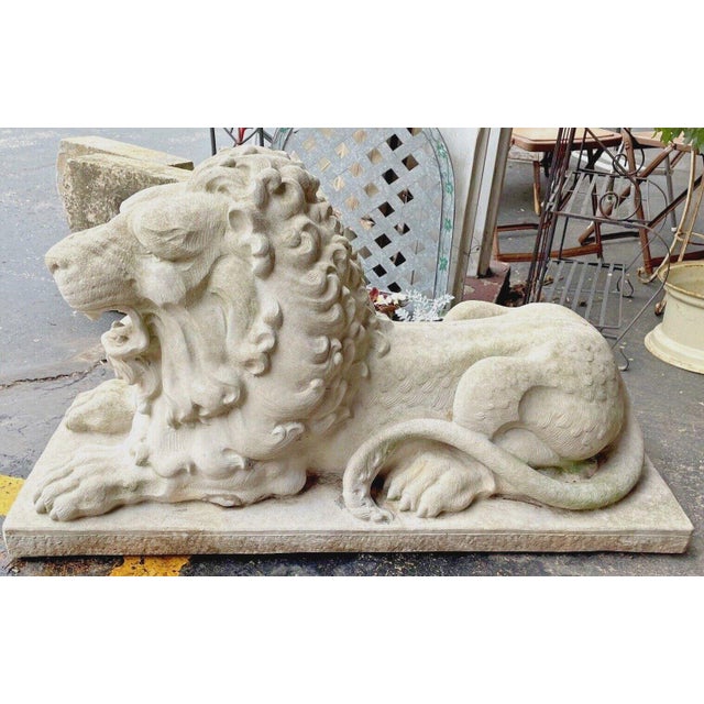 Vintage Large Concrete Lion Statue With Roaring Expression Chairish