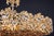 Large Gilt Brass and Crystal Glass Encrusted Chandelier from Palwa, Germany, 1970s For Sale - Image 17 of 18