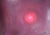 Anna Maria Caboni, Red Light, 2010, Acrylic For Sale