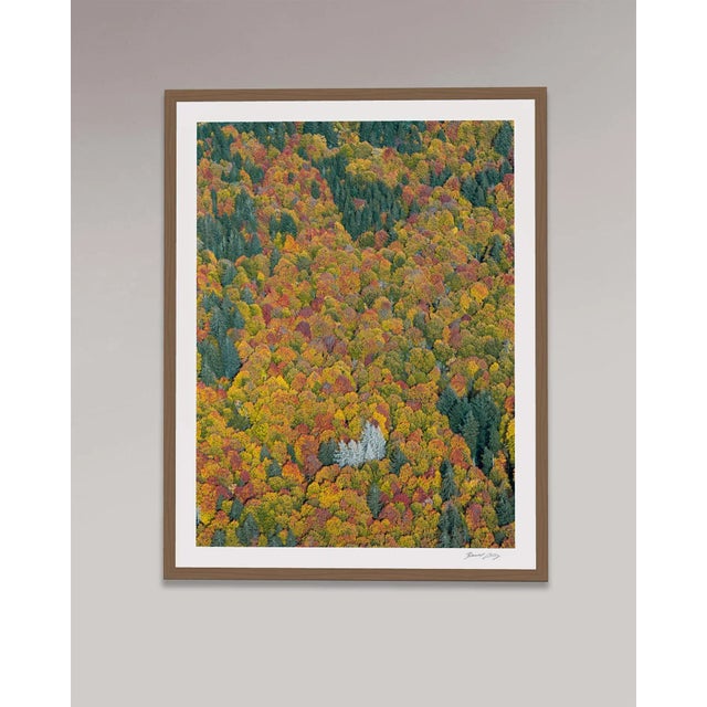 Edition Aerial Views Bernhard Lang Image: "Bavarian_Forest_02" Size C: 26,5 x 35,4 inch / 67,5 x 90 cm No 2 of 8 + 2 AP,...