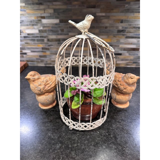 Vintage accent to your decor. Distressed white metal bird cage cloche. Cover your plant indoors with a decorative birdcage...