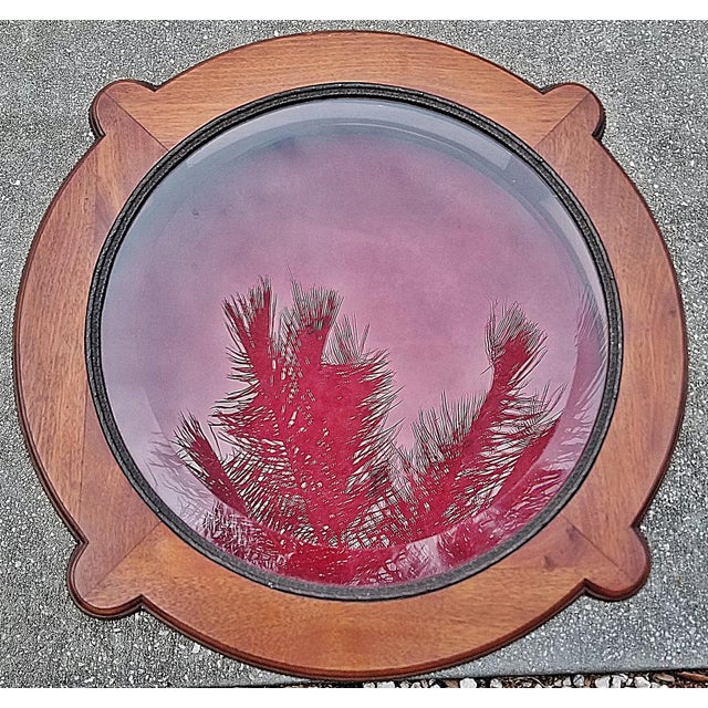 1990s French Bijouterie Vitrine Table For Sale - Image 4 of 10