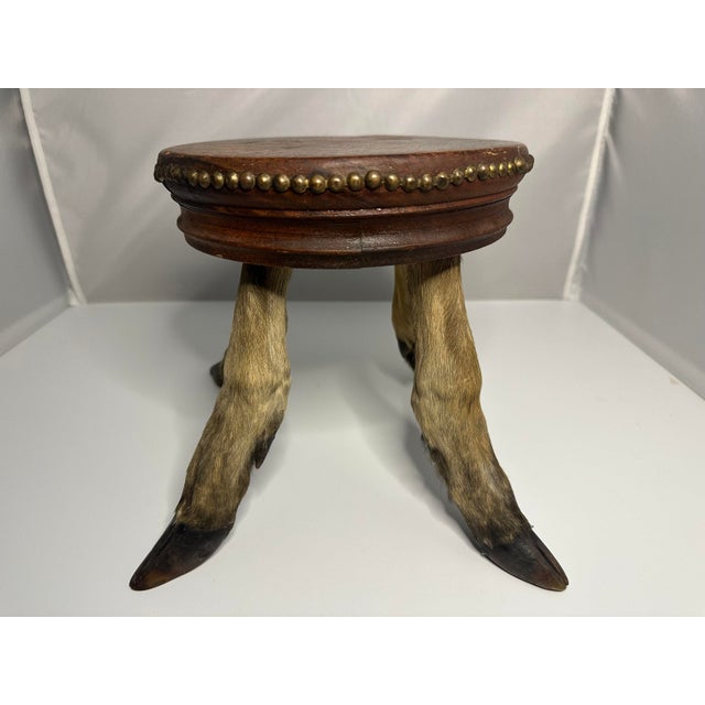 Art Nouveau Antique Taxidermy Deer Hoof Mahogany Stool For Sale - Image 3 of 10