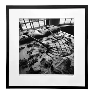 Framed Editioned Photograph Raking Leaves Arthur Tress