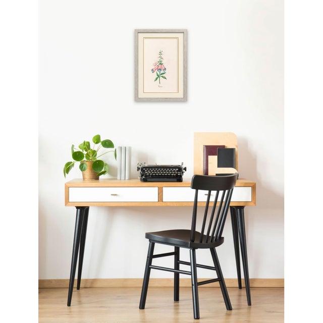Atelier Aria Lumae Magdalena Rosina Funck Style Botanical Miniature Passe Partout Prints Complete 30 Piece Set A4 For Sale - Image 17 of 18