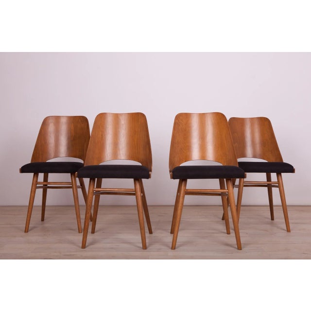 Model Lollipop Dining Chairs from Tatra, 1960s, Set of 4 For Sale - Image 9 of 18