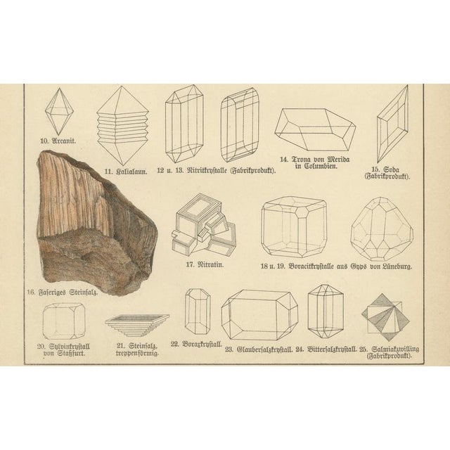 Paper Kenngott, Set of Two Mineralogy Chromolithographs, Fluorite, Amber & Coal, 1888, Paper For Sale - Image 7 of 10