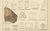 Paper Kenngott, Set of Two Mineralogy Chromolithographs, Fluorite, Amber & Coal, 1888, Paper For Sale - Image 7 of 10
