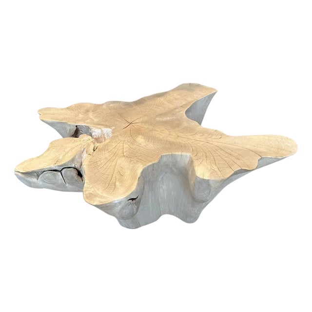Andrianna Shamaris Amorphous Bleached Teak Wood Coffee Table For Sale