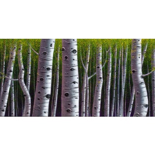 Deep Forest by Thane Gorek | Oil on Board of tall white birch trees in a green forest. For Sale