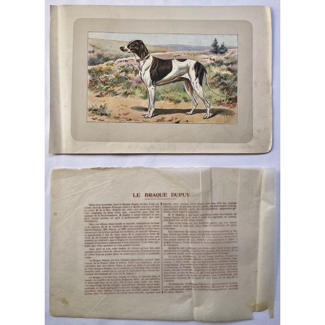 This handsome photogravure printed page is illustrated by P. Mahler, a German artist. The subject is a "Le Braque Dupuy”...