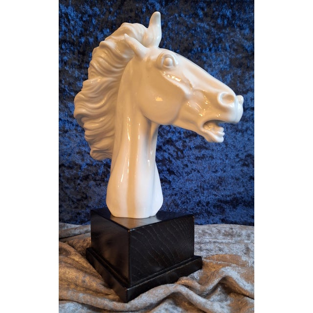 Horse Head Sculpture in White Glazed Porcelain on Black Base by Erich Oehme for Meissen, 1970s For Sale - Image 4 of 7