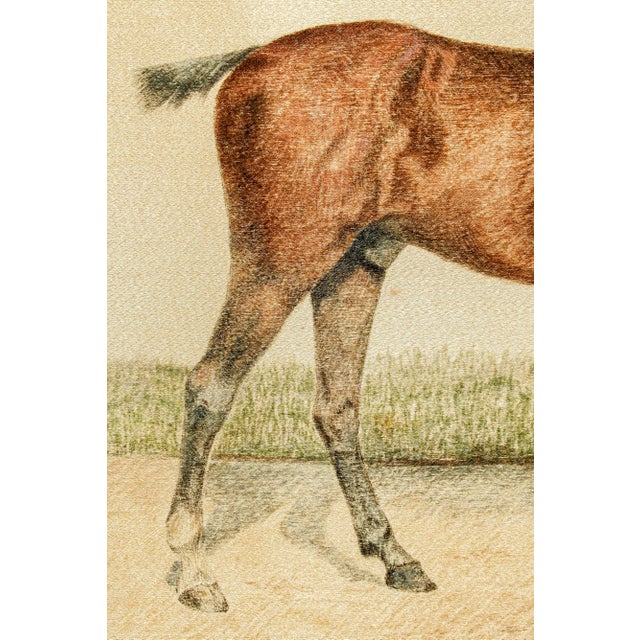 Textile Rare Pair Antique English Horse Portraits on Silk Hand Painted Equestrian Sporting Art Home Decor For Sale - Image 7 of 17