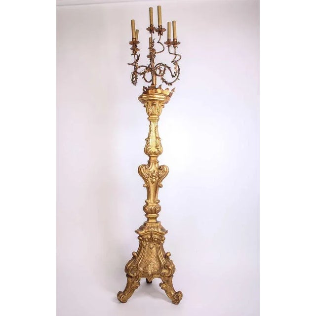 A fine Italian early 18th century giltwood torchère on triform base carved on the front side, with seven scrolled gilt-...