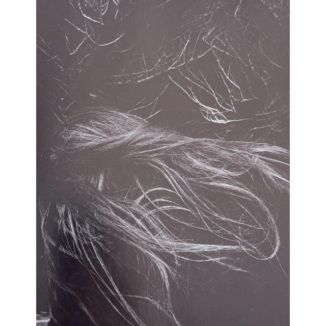 Women & Other Visions by Judy Dater, Jack Welpott, Henry Holmes Smith (Introduction) For Sale In Los Angeles - Image 6 of 7