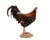 Brown Life-Size Gamecock Taxidermy Mount Brilliant Red Orange Plumage Sand Mount Rooster For Sale - Image 8 of 17