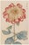 Red Chrysanthemum by Hasegawa, Vintage Japanese Botanical Art Print, 20" X 30" For Sale