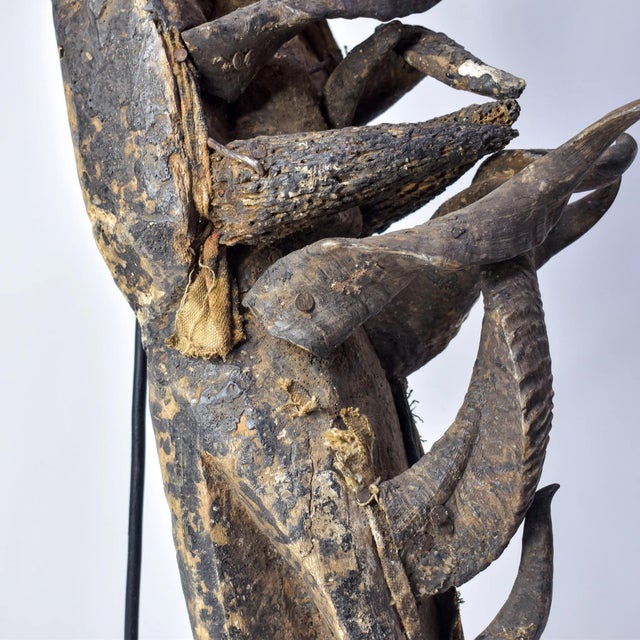 African Early 20th Century Dan, Wee, Kran, Guerre Guere Mask on Stand For Sale - Image 3 of 15