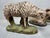 Antique Hand-Painted Sheep Models, 1890s, Set of 5 For Sale - Image 6 of 10