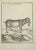 The goat is an etching realized in 1771 by a-j de fehrt. Signed in flat. The Artwork Belongs to the Suite "Natural,...