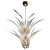 Vintage Chandelier by Vistosi Palms, 1970 For Sale - Image 16 of 16