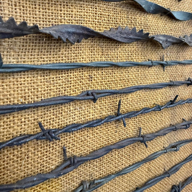 Collection of Mounted 19th Century American Barbed Wire Specimens For Sale - Image 14 of 17
