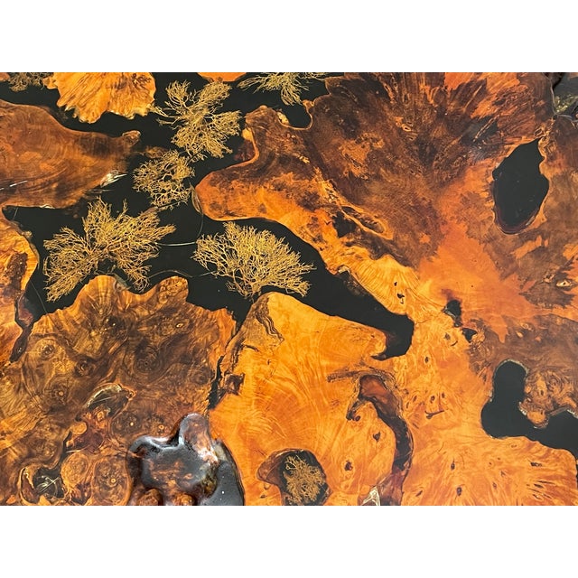 Brown Gorgeous 1960 Tedeood Slab Stump Root Live Edge Coffee Table For Sale - Image 8 of 17