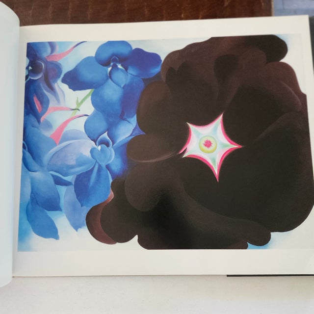 Vintage Georgia O'Keefe Coffee Table Book Art Book For Sale - Image 11 of 12