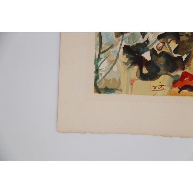 Printmaking Materials Salvador Dali, Heaven Canto 26 (The Divine Comedy) 1950, Paper Woodcut Print For Sale - Image 7 of 12