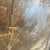 Mid-Century Modern Pastoral Forest Landscape Oil Painting - Gilded Frame For Sale - Image 4 of 12