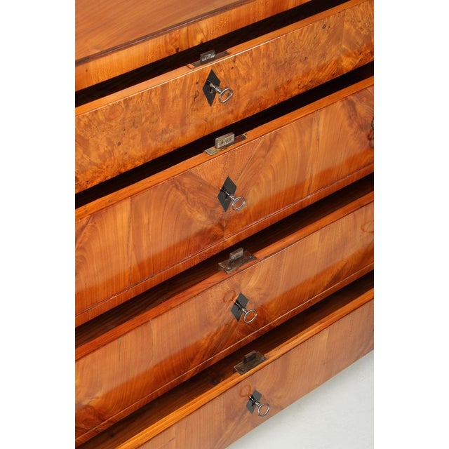 Biedermeier Chest of Drawers, 1820s For Sale - Image 10 of 15