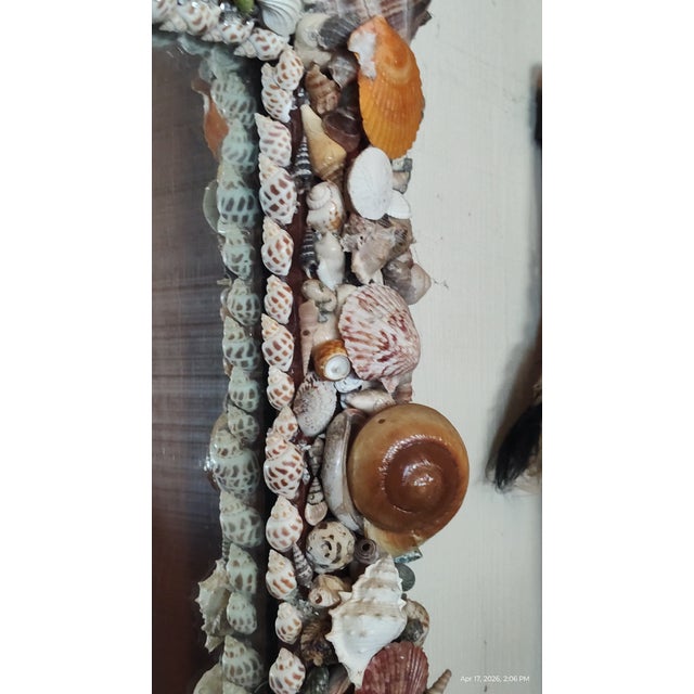 Vintage Handcrafted California Seashell Mirror For Sale - Image 11 of 18