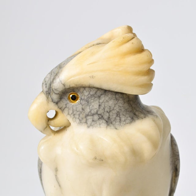 Art Deco Carved Alabaster Sculpture of Cockatoo, 1930s For Sale - Image 11 of 12